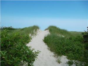 Perfect example of a Cape Cod path